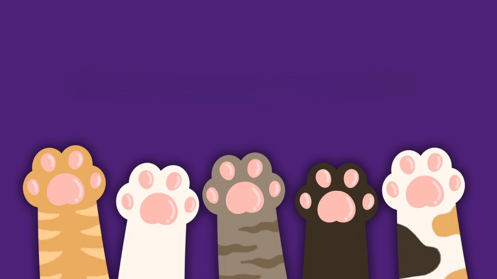 Imagen portada Kay Petshop