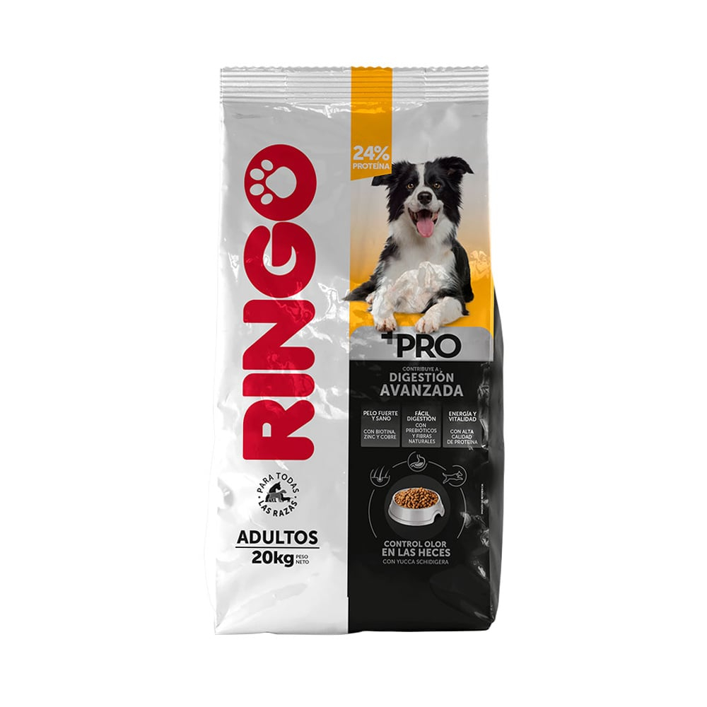 Ringo pro adultos