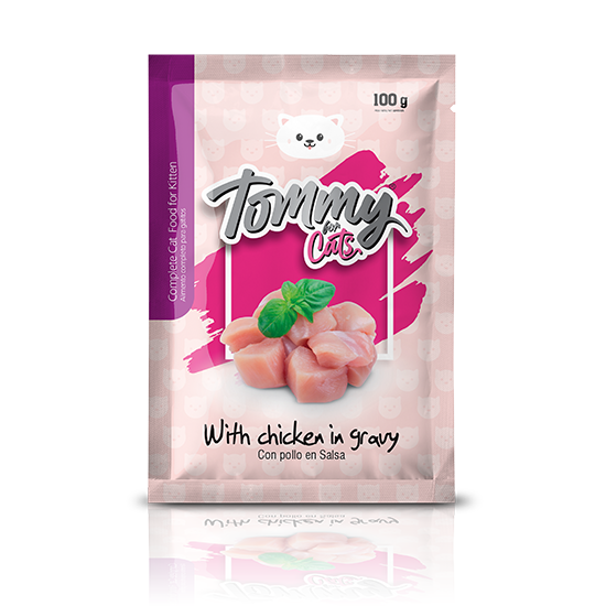 Tommy for cats