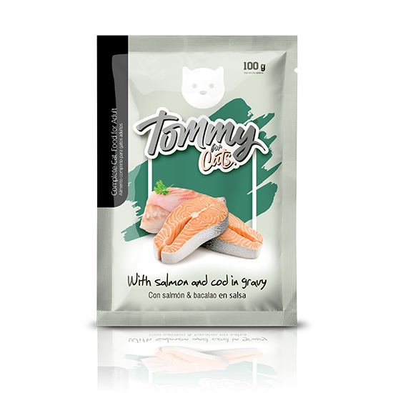 Tommy for cats
