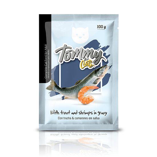 Tommy for cats